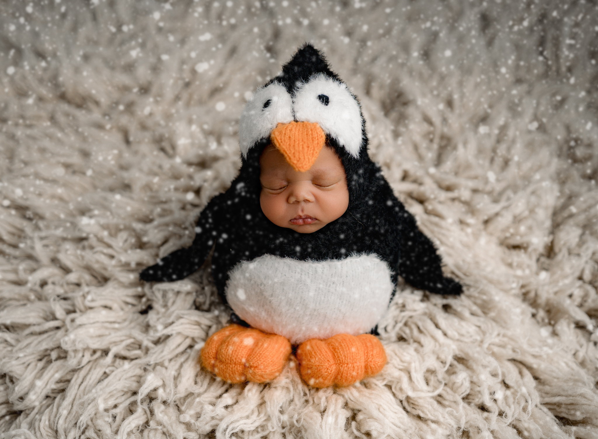 Colorado Springs Newborn in penguin outfit